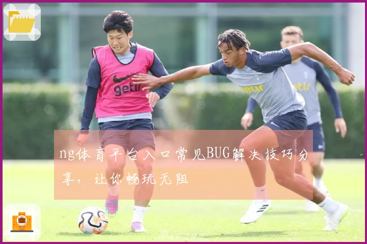 ng体育平台入口常见BUG解决技巧分享，让你畅玩无阻