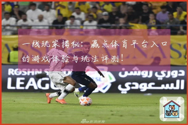 一线玩家揭秘：赢点体育平台入口的游戏体验与玩法评测！