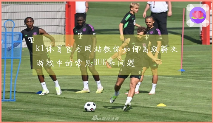 k1体育官方网站教你如何高效解决游戏中的常见BUG和问题