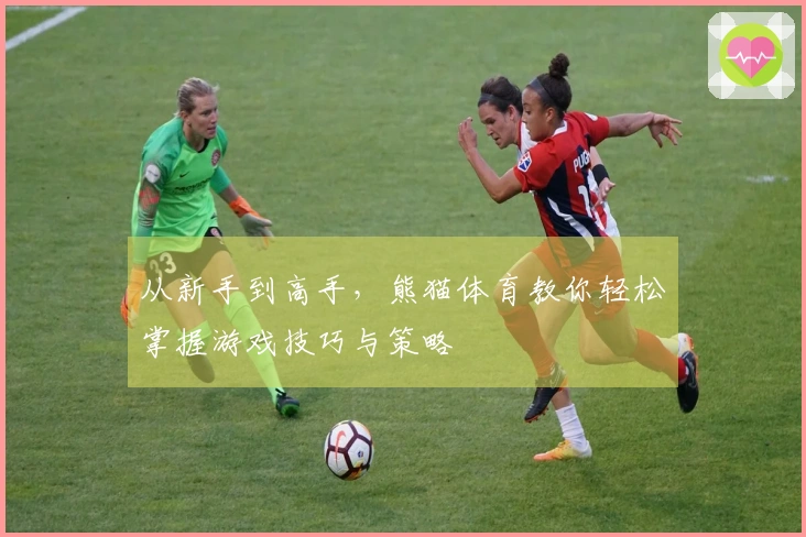 从新手到高手,熊猫体育教你轻松掌握游戏技巧与策略