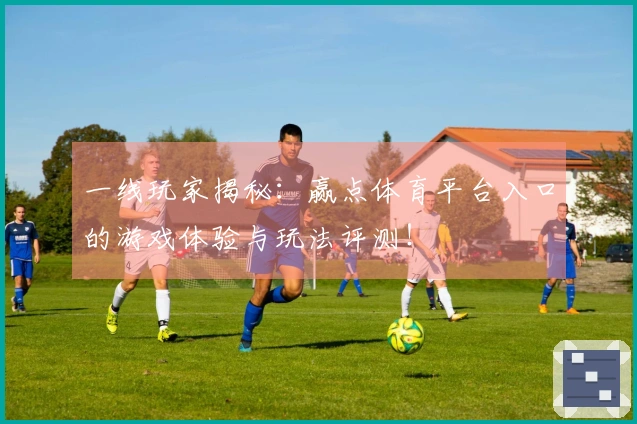 一线玩家揭秘：赢点体育平台入口的游戏体验与玩法评测！