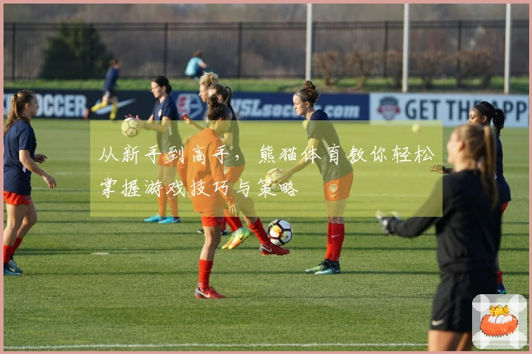 从新手到高手，熊猫体育教你轻松掌握游戏技巧与策略